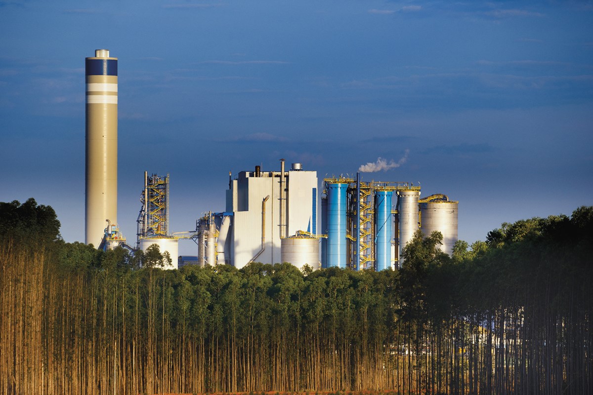 Crédito da imagem: Araquém Alcântara