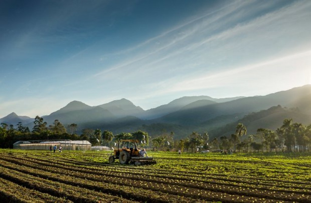 Santa Catarina projeta forte desempenho no agronegócio