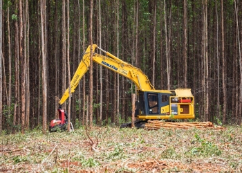 Suzano abre 74 vagas para formação de Operador(a) de Máquinas Florestais em Ribas do Rio Pardo/MS