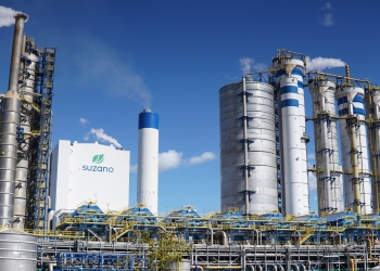 Suzano abre quatro novas vagas para atender suas operações em Ribas do Rio Pardo e Três Lagoas/MS
