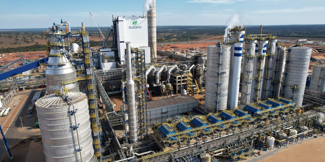 Suzano está com cinco processos seletivos abertos para Água Clara, Ribas do Rio Pardo e Três Lagoas (MS)