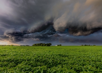 Frente fria muda tempo e interfere no ritmo de colheita e plantio no País