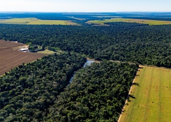 Entidade diz que o campo preserva, mas há excesso de regras travando os produtores
