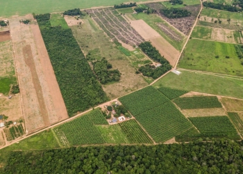 STF trava compra de terras por estrangeiros e frustra entrada de capital externo