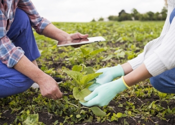 Sustentabilidade avança e passa a influenciar crédito, mercado e custos do setor