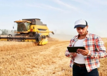 Pressão de oferta reduz preços ao produtor em quase 10% e aperta margens no campo