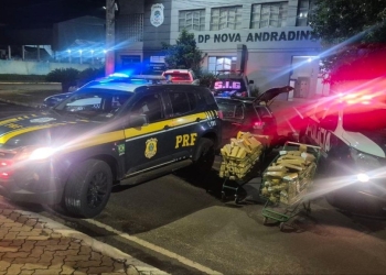 PRF e PM apreendem 513 Kg de maconha em Nova Andradina (MS)