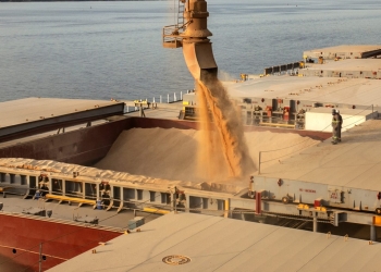 Agro responde por mais de 65% das exportações do estado