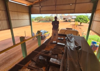 PRF apreende 2,1 toneladas de maconha em Itaquiraí (MS)