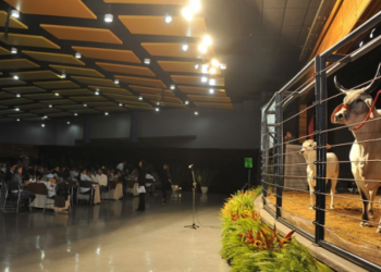 ExpoZebu começa hoje. Primeiro leilão vendeu mais de R$ 600 mil