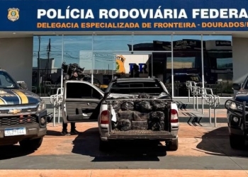 PRF apreende 750 Kg de maconha em Dourados (MS)