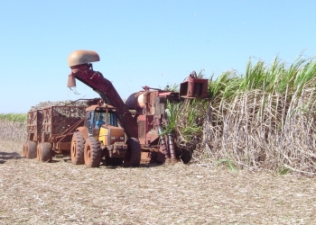 Produção de cana recua, mas etanol atinge e açúcar se mantém em alta