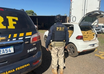 PRF apreende uma tonelada de maconha em Campo Grande (MS)