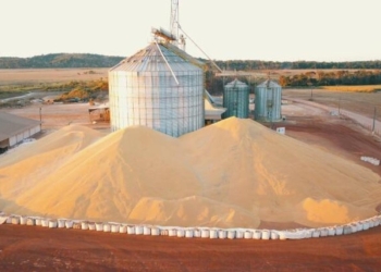 Com safra acima de 330 milhões de toneladas, gargalos elevam custo e comprimem margens