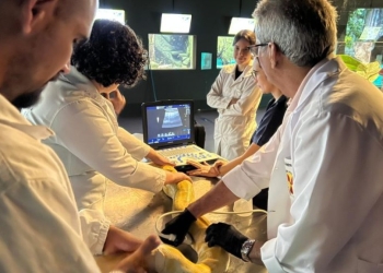 Parceria entre Bioparque Pantanal e UFMS garante cuidados preventivos em serpentes e arraias