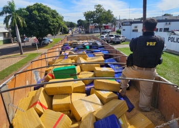 PRF apreende 8,3 toneladas de maconha em Naviraí (MS)
