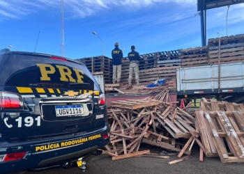 PRF apreende uma tonelada de maconha em Caarapó (MS)