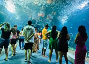 Bioparque Pantanal se prepara para sediar evento nacional de zoológicos e aquários