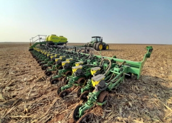 Frio favorece plantio, mas produtores seguem cautelosos com custos e clima