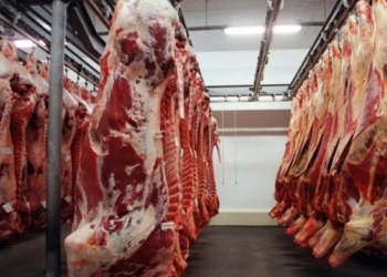 Vendas de carne bovina cresceram 28% e chegaram a quase R$ 9 bilhões