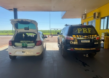 PRF apreende 208 Kg de maconha em Naviraí (MS)