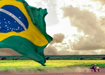 PIB do agro cresceu 12,2%, alcançou R$ 3,2 trilhões e ampliou peso na economia