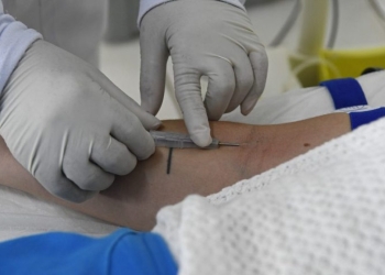 SES divulga nota reforçando vigilância e MS segue sem casos confirmados de hantavirose há 7 anos