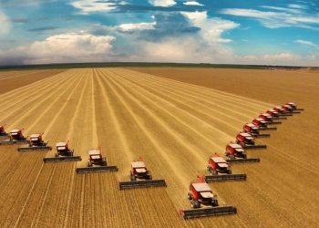 Produto Interno Bruto da agropecuária cresceu 0,7% no primeiro trimestre de 2026