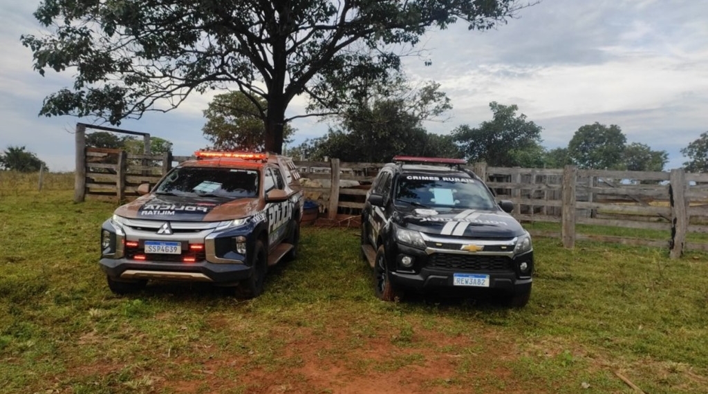 Operação conjunta da Polícia Militar recupera 64 cabeças de gado em Dois irmãos do Buriti