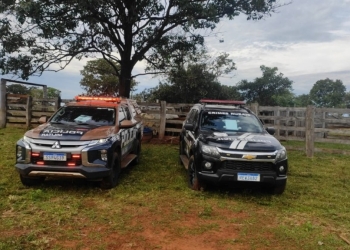 Operação conjunta da Polícia Militar recupera 64 cabeças de gado em Dois irmãos do Buriti