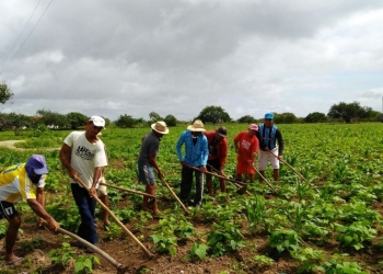 Agro bate recorde e chega a 28,4 milhões de trabalhadores ocupados