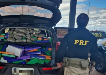 PRF apreende 328 Kg de maconha em Mundo Novo (MS)