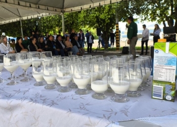 Dia do Leite: Estado lidera a produção nacional e mais de 60 mil produtores
