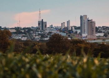 Seminário Nacional vai discutir plano para combater nematoides e reduzir prejuízos bilionários no campo