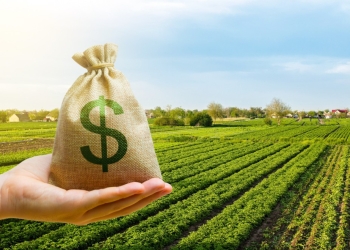 Crédito privado ao agro cresce e CPR chega a R$ 565 bilhões em maio