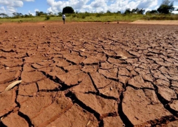 Clima extremo amplia perdas bilionárias no campo e pressiona sistema de seguros