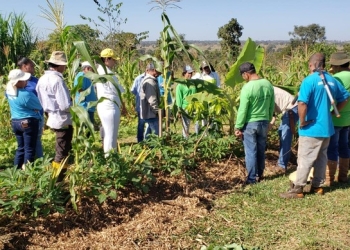 Em seis anos, projetos apoiados pela Suzano retiraram 31 mil pessoas da linha da pobreza em Mato Grosso do Sul