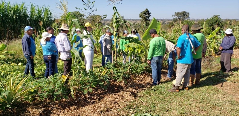 Em seis anos, projetos apoiados pela Suzano retiraram 31 mil pessoas da linha da pobreza em Mato Grosso do Sul
