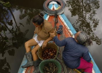 Natura lança startup de bioingredientes para conectar suas cadeias sustentáveis na Amazônia ao mercado global
