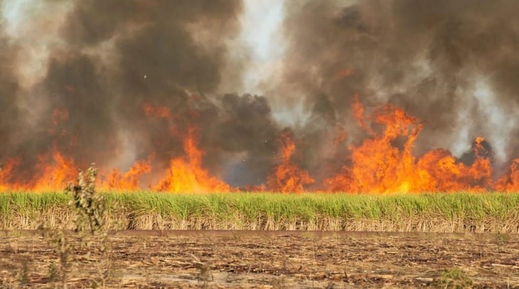 Aprosoja-MT diz como evitar problemas legais após incêndios nas lavouras