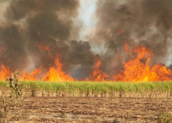 Aprosoja-MT diz como evitar problemas legais após incêndios nas lavouras