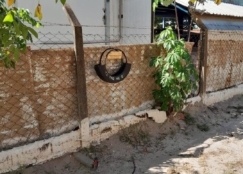 Larvitrampas reforçam combate ao mosquito da dengue e ajudam na prevenção de surtos em Três Lagoas