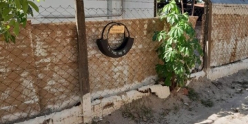 Larvitrampas reforçam combate ao mosquito da dengue e ajudam na prevenção de surtos em Três Lagoas
