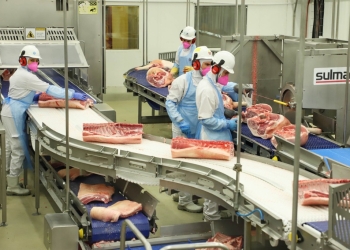 Exportações de carne suína superam R$ 7,7 bilhões no acumulado do ano