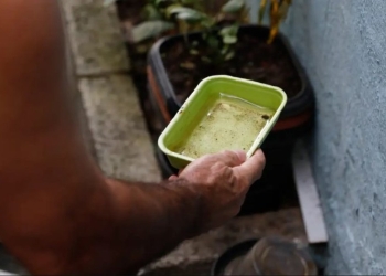 LIRAa de maio orienta ações de prevenção às arboviroses em Mato Grosso do Sul