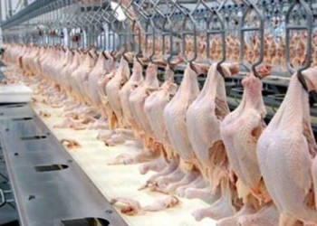 Exportação de frango bate recorde e receita mensal ultrapassa R$ 5 bilhões