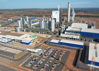 Suzano abre seis vagas em Brasilândia, Ribas do Rio Pardo e Três Lagoas (MS)