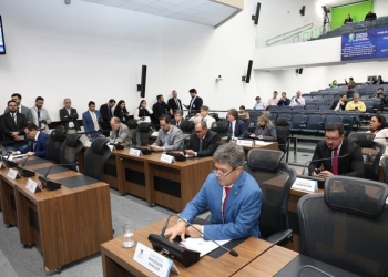Projeto garante prioridade a mel da agricultura familiar na merenda das escolas estaduais
