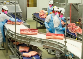 Exportações de carne suína batem recorde, mas setor enfrenta dificuldades