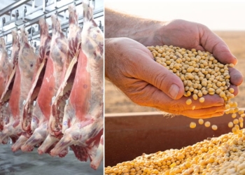 Brasil pode unificar rastreabilidade para blindar soja e carne à China e à União Europeia